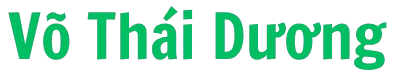 vothaiduong.com